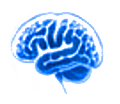 tumeurs cerebrales